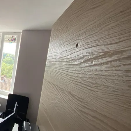 V1 - Chambre Triple Avec Salle De Bains Privee- 5 Minutes Du Luxembourg * Villerupt